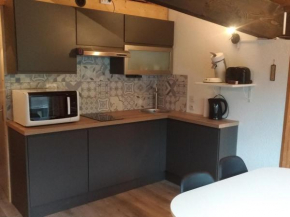 Studio cosy près des pistes avec mezzanines et parking - Animaux acceptés, idéal pour skieurs - FR-1-692-52